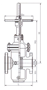 Z43F 導流孔平行式閘閥結(jié)構(gòu)示意圖
